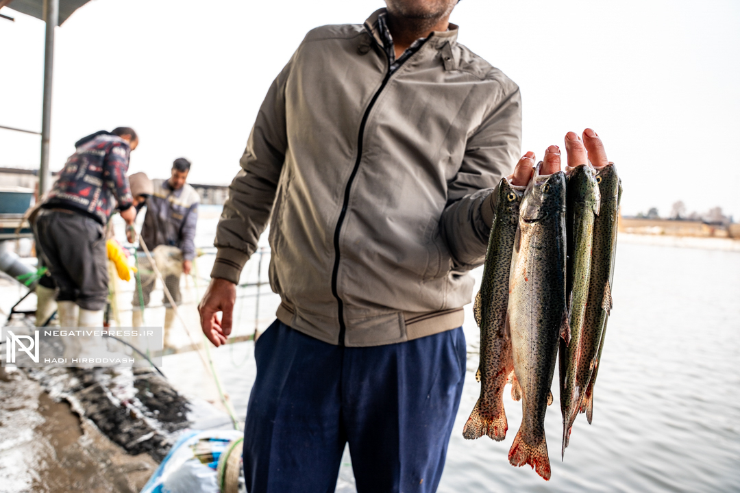 زندگی در مدار صید