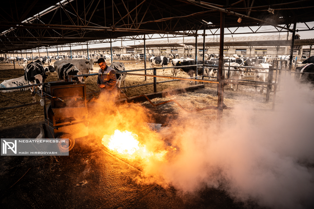 پیوند تولید، سلامت و اشتغال